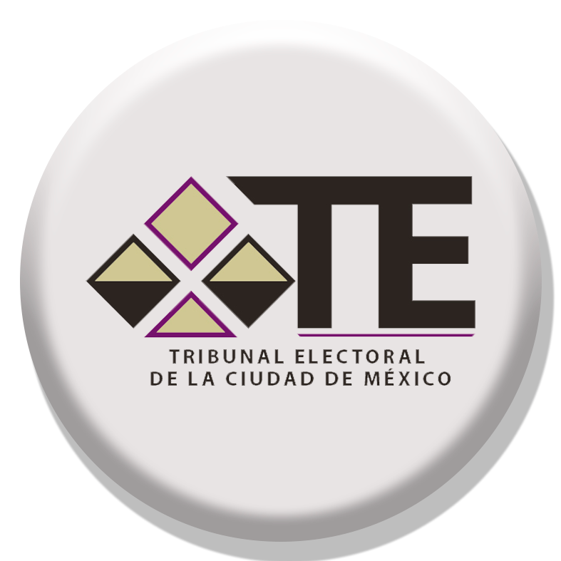 T electoral de la cdmx